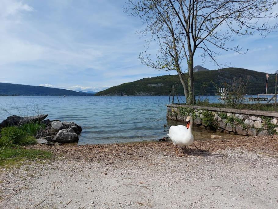 Charmant Et Spacieux Appartement A Quelques Pas Du Lac Duingt Ngoại thất bức ảnh